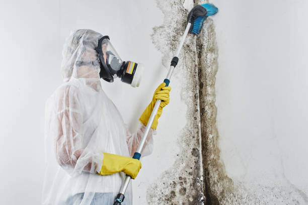 Best Crawl Space Mold Removal  in Montgomeryville, PA