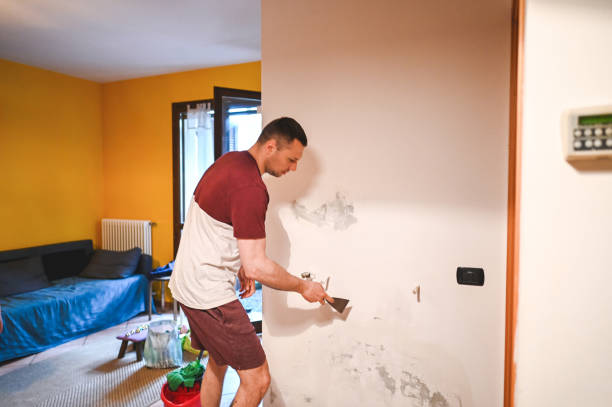 Best Commercial Mold Removal  in Montgomeryville, PA