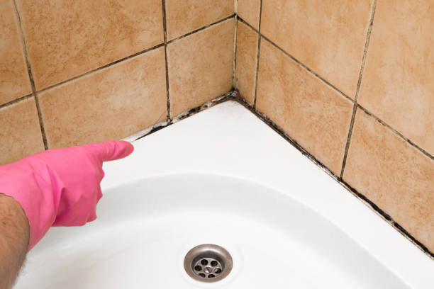 Best Crawl Space Mold Removal  in Montgomeryville, PA